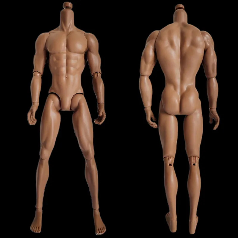 Оригинальная мужская форма тела, суставы для йоги, подвижные тела, мужское тело MENGF Adonis для подарков из коллекции 1/6 FR/ IT Heads Girls. Изображение 3