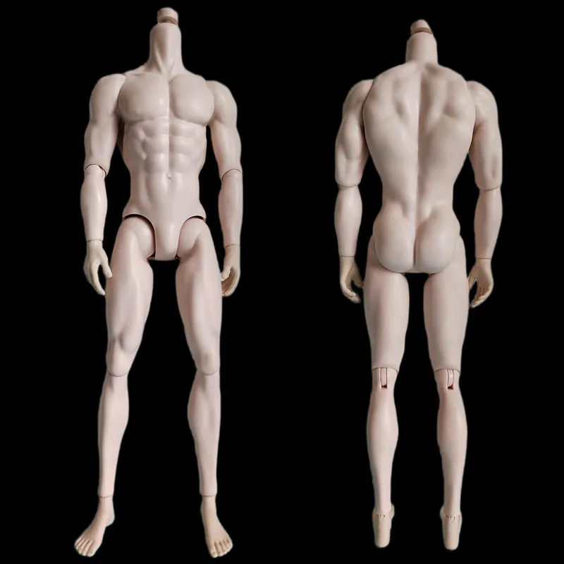 Оригинальная мужская форма тела, суставы для йоги, подвижные тела, мужское тело MENGF Adonis для подарков из коллекции 1/6 FR/ IT Heads Girls. Изображение 4